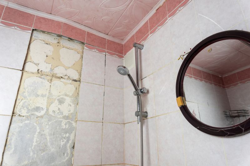 Top Shower Remodeling Companies in Holly Springs, NC